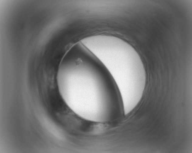 X0000082970525200702011145