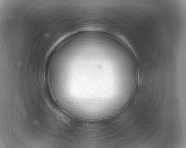 X0000082970531200702011145