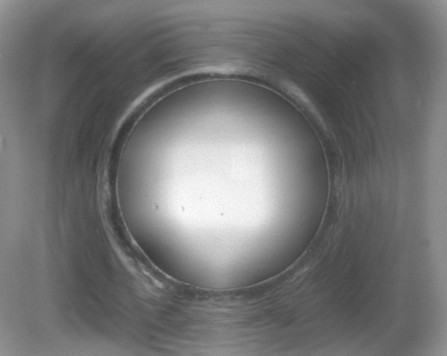 X0000082970532200702011145