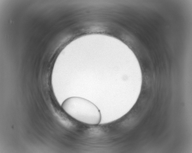 X0000082970534200702011145