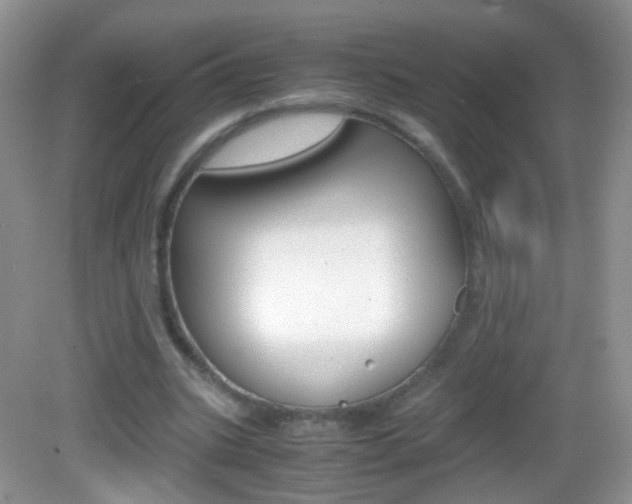 X0000082970535200702011145