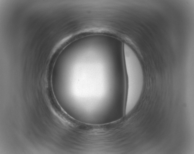 X0000082970536200702011145