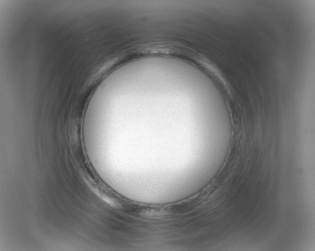 X0000082970537200702011145