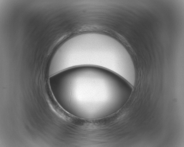 X0000082970538200702011145