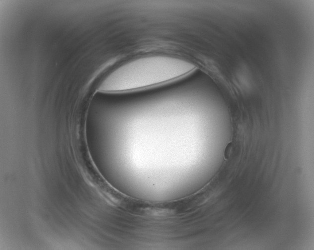 X0000082970539200702011145