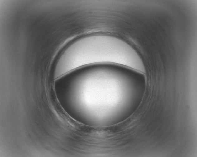 X0000082970540200702011145