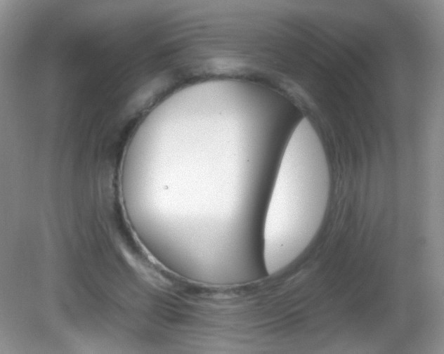 X0000082970542200702011145