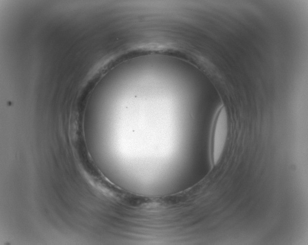 X0000082970544200702011145