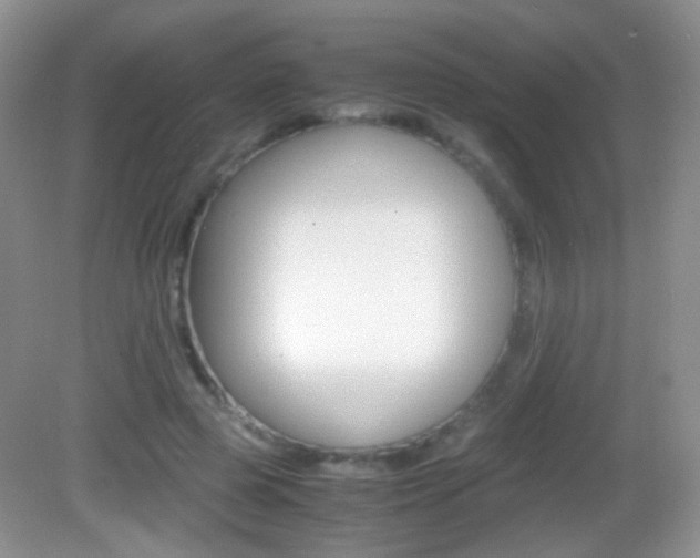 X0000082970545200702011145