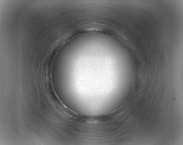 X0000082970547200702011145