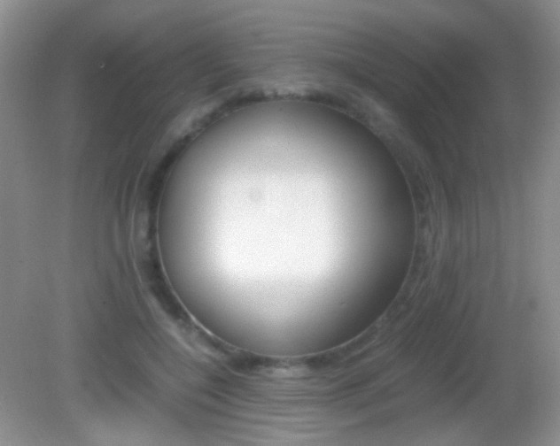 X0000082970548200702011145