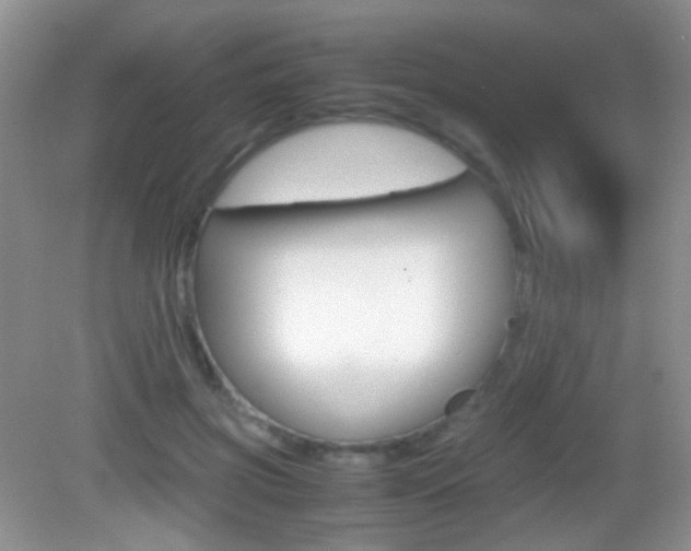 X0000082970549200702011145