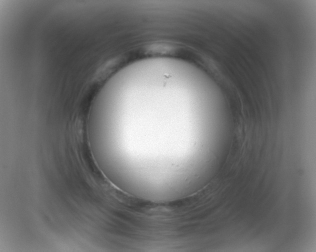 X0000082970551200702011145