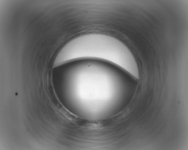 X0000082970552200702011145