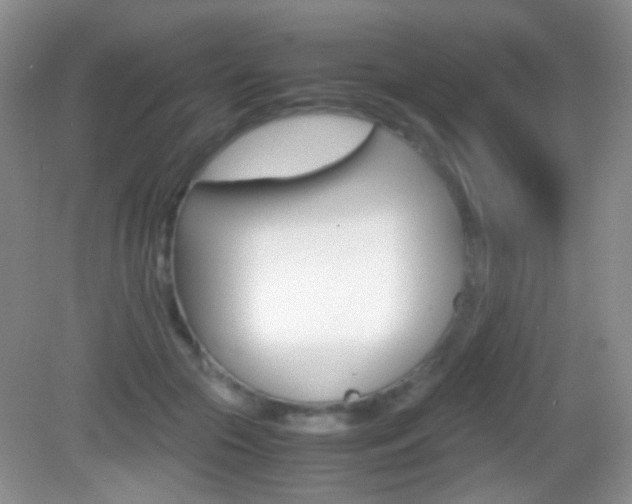 X0000082970553200702011145