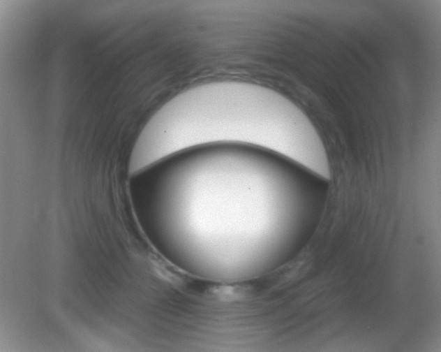 X0000082970558200702011145