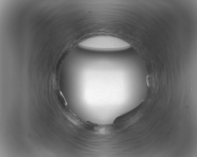 X0000082970564200702011145