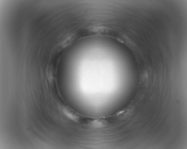 X0000082970566200702011145