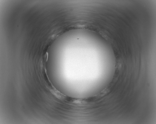 X0000082970568200702011145