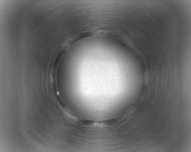 X0000082970570200702011145