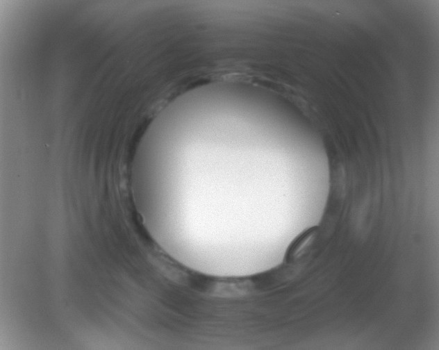 X0000082970571200702011145