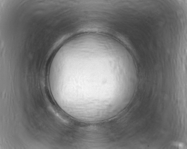 X0000082970578200702011145