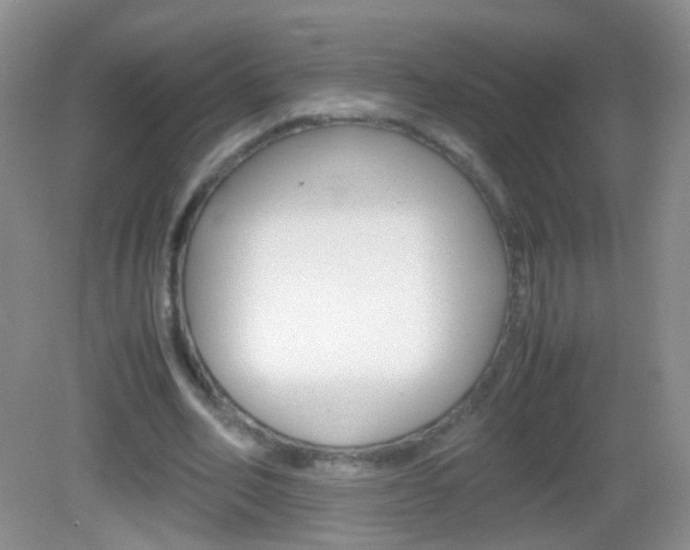 X0000082970582200702011145