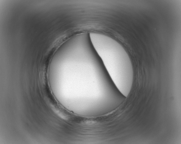 X0000082970590200702011144