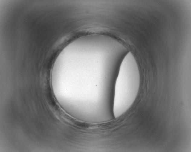 X0000082970591200702011144