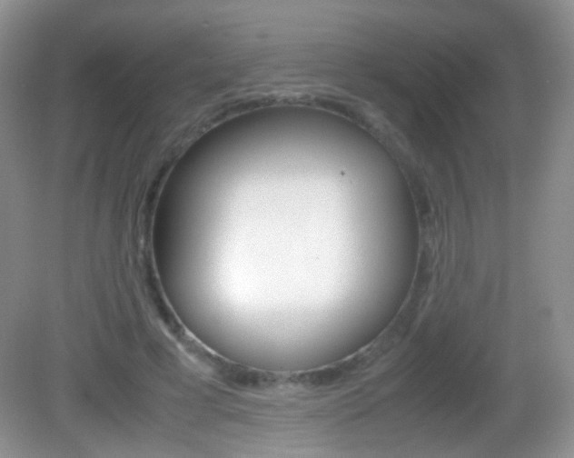 X0000082970593200702011144