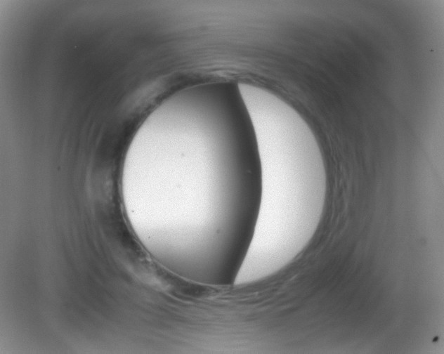 X0000082970595200702011144