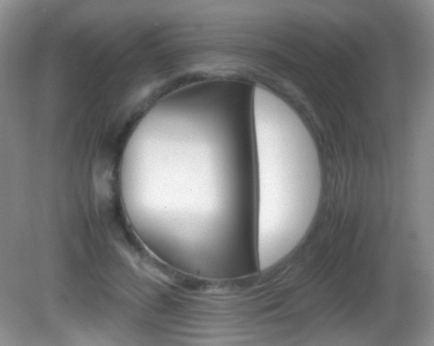 X0000082970596200702011144