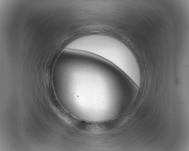 X0000082970597200702011144