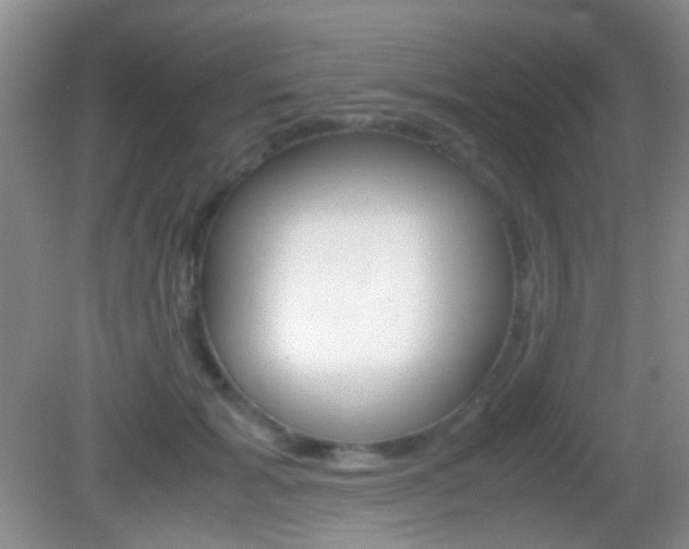 X0000082970605200702011144