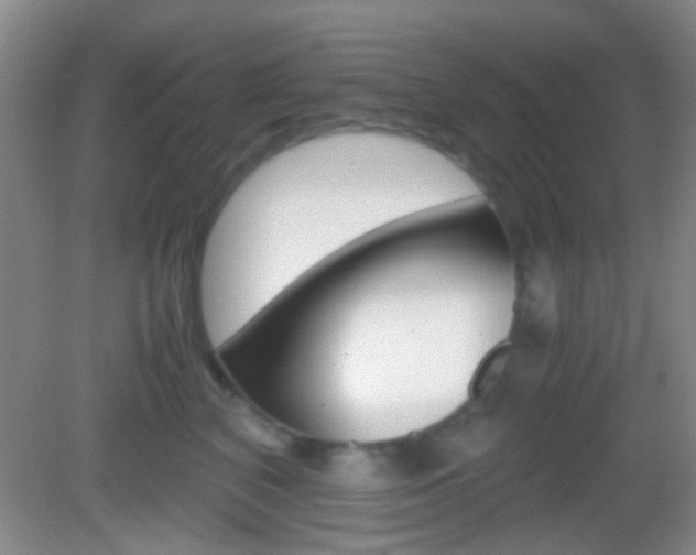 X0000082970616200702011144