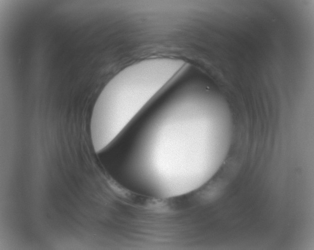 X0000082970624200702011144