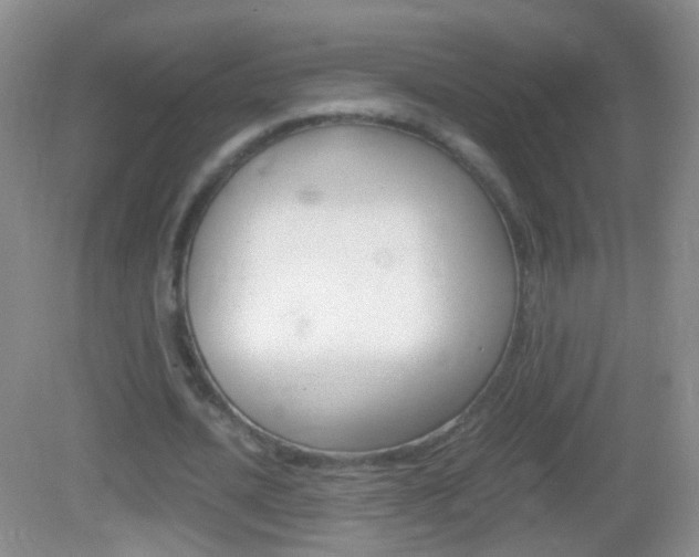 X0000082970628200702011143