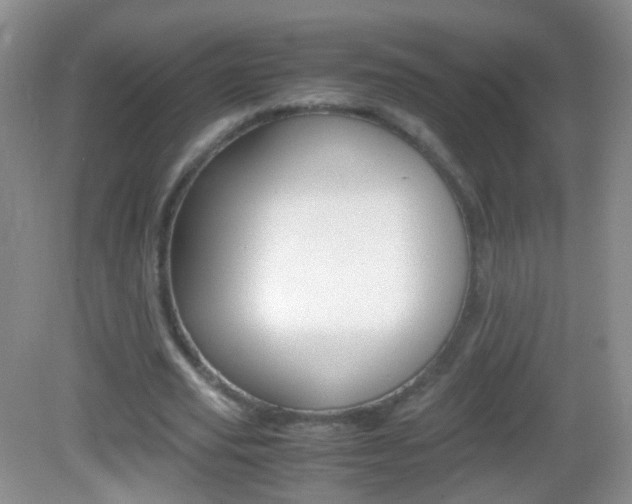 X0000082970629200702011143