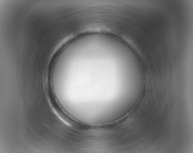 X0000082970630200702011143