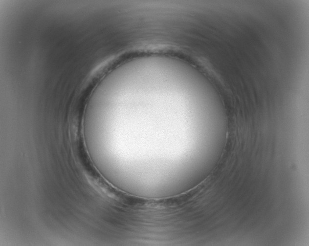 X0000082970640200702011143