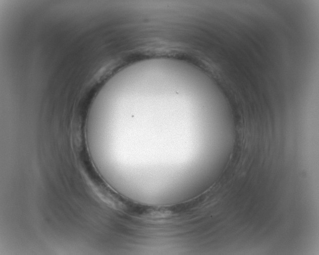 X0000082970642200702011143