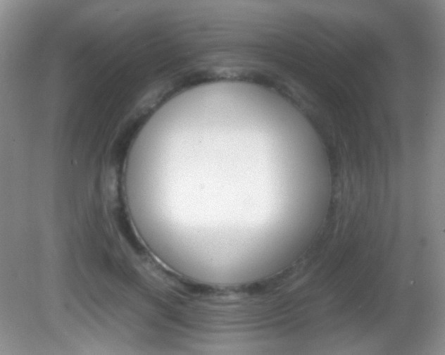 X0000082970646200702011143