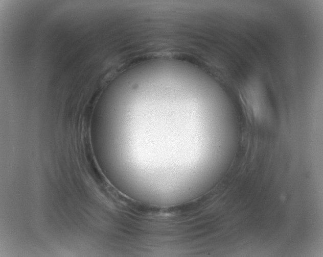 X0000082970647200702011143