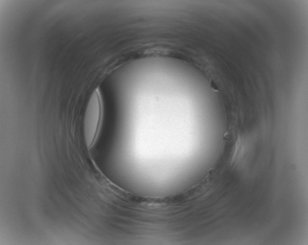 X0000082970649200702011143
