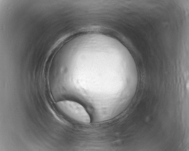 X0000082970674200702011143
