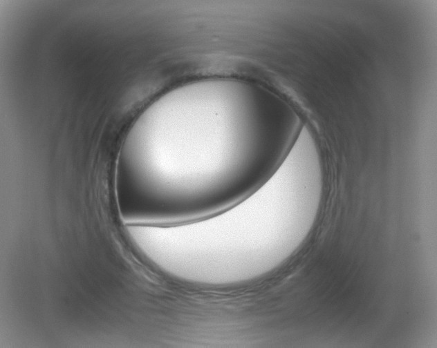 X0000082970681200702011143