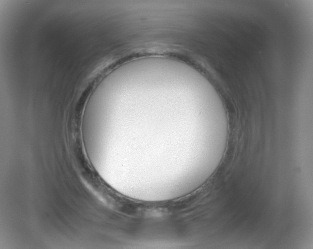 X0000082970683200702011143