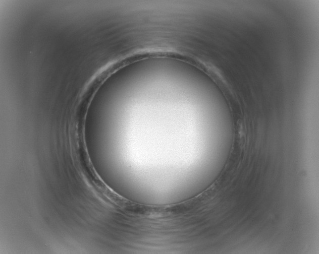X0000082970684200702011143