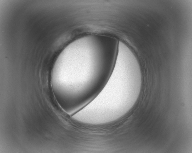 X0000082970685200702011143