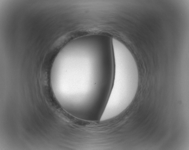 X0000082970689200702011143